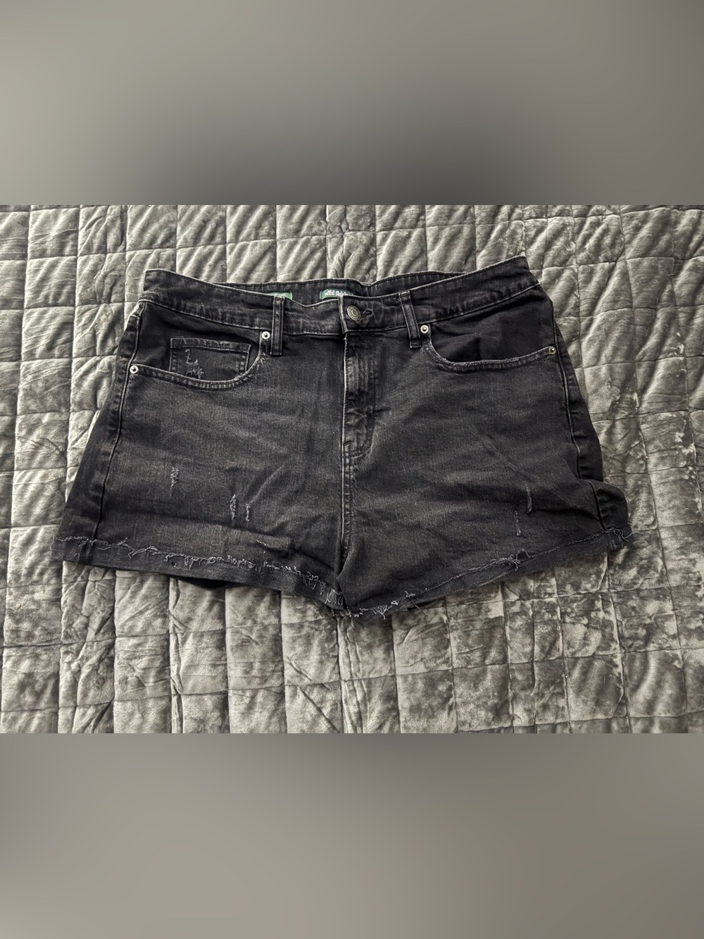 Women's Black Distressed Denim Shorts